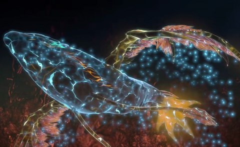 《完美世界》动画正在热播,没想到小塔拥有自我意识,在鲲鹏巢之中,看